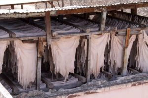 Once tanning is achieved the leather is hung on rods to dry in a cool semi-moist place.