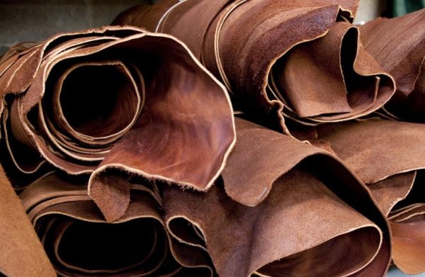 What is Exotic Leather? Limited & One-Of-A-Kind Leather - The Jacket Maker  Blog