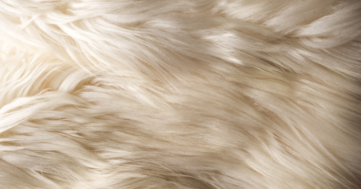 Difference Between Faux And Real Fur. Visual Aesthetics. Benefits