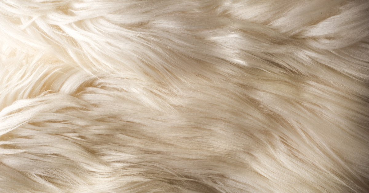 Faux Fur Vs Real Fur What s The Difference Faux Fur Vs Real Fur
