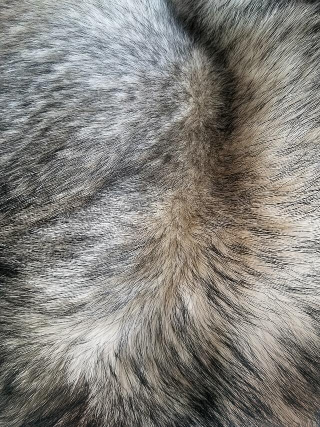 real fur