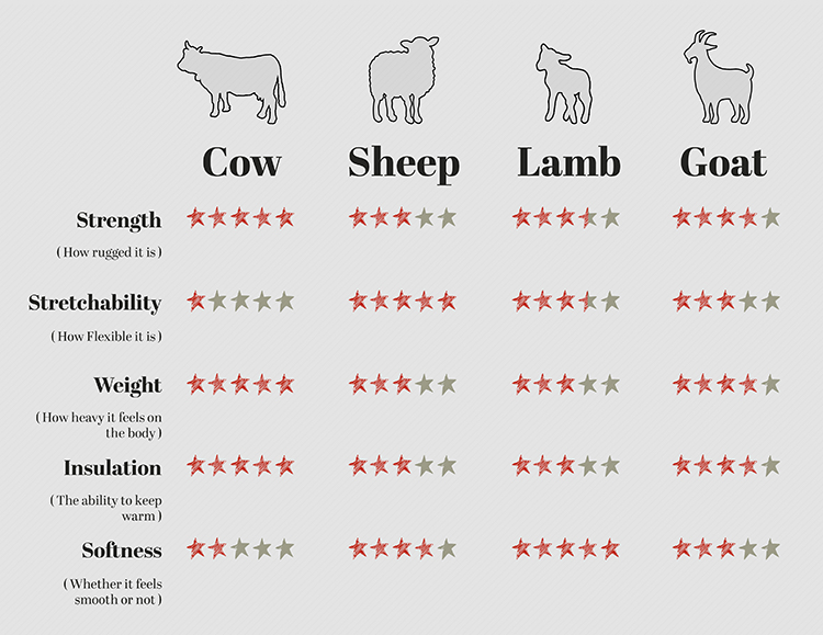 Cowhide, Goat, Sheep & Lamb Leather Characteristics