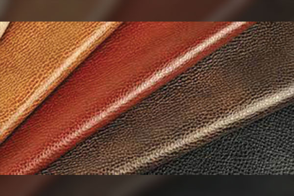 Aniline Leather and its Origins 