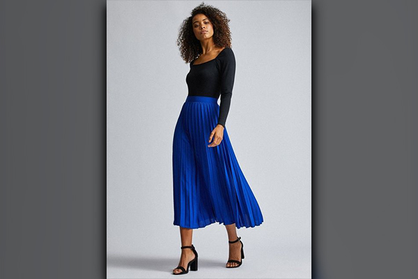 Blue Top With Silk Pleated Skirt
