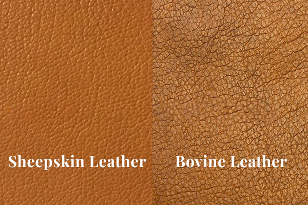 Bovine Leather vs Sheepskin Leather