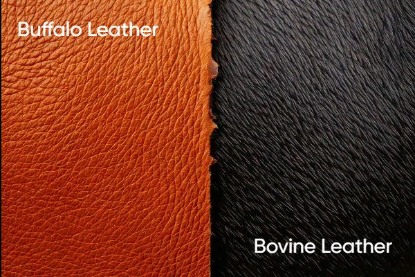 Buffalo vs. Bovine Leather