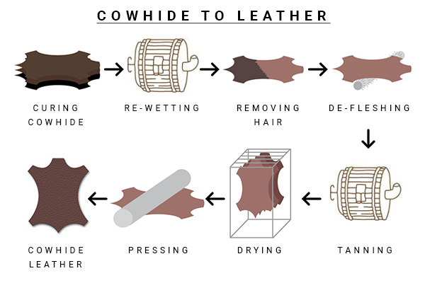 Visual Representation Of Converting Cowhide To Leather Process
