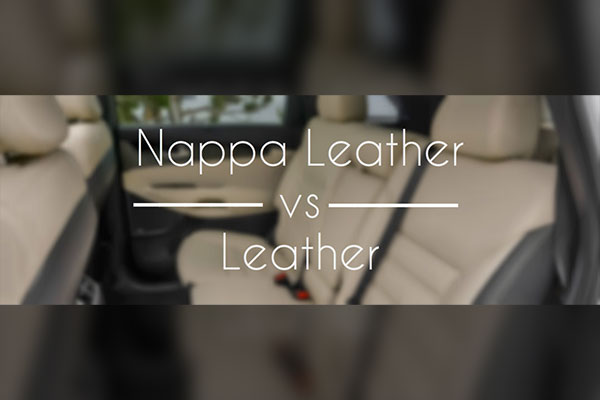 Difference Between Leather and Nappa leather