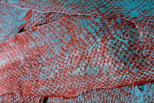Exotic Leather and Sustainability