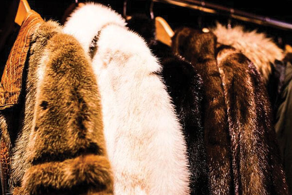 Fur in Fashion 