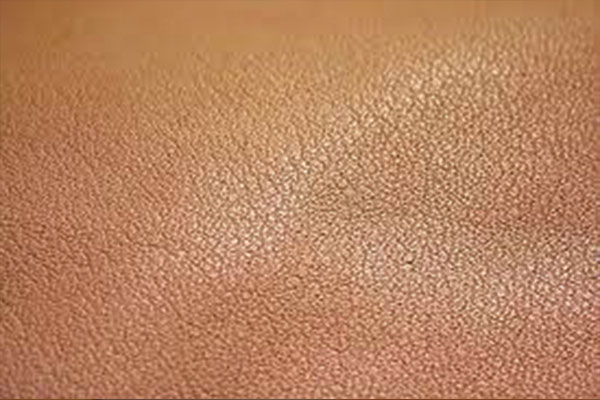 Pure Aniline Leather: