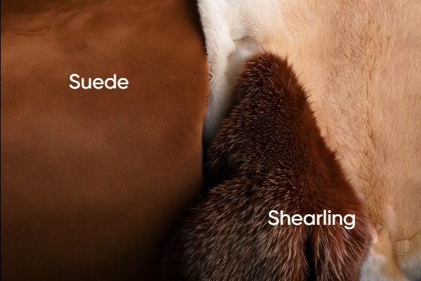 Shearling Leather vs. Suede_ What’s the Difference_