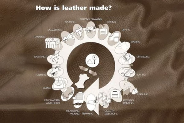 The Working Cycle on How Leather is Made