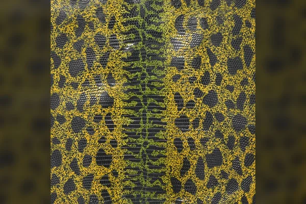 Types of Exotic Leather