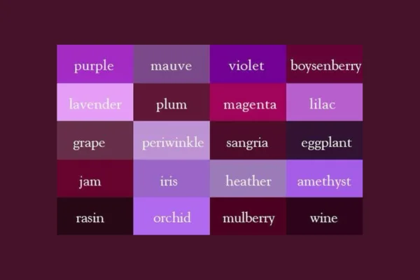 Shades of Purple Color Palette