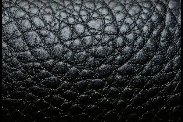 What Makes Caviar Leather Unique_ The Art of Craftsmanship