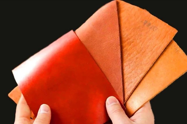 Appearance of Bovine Leather