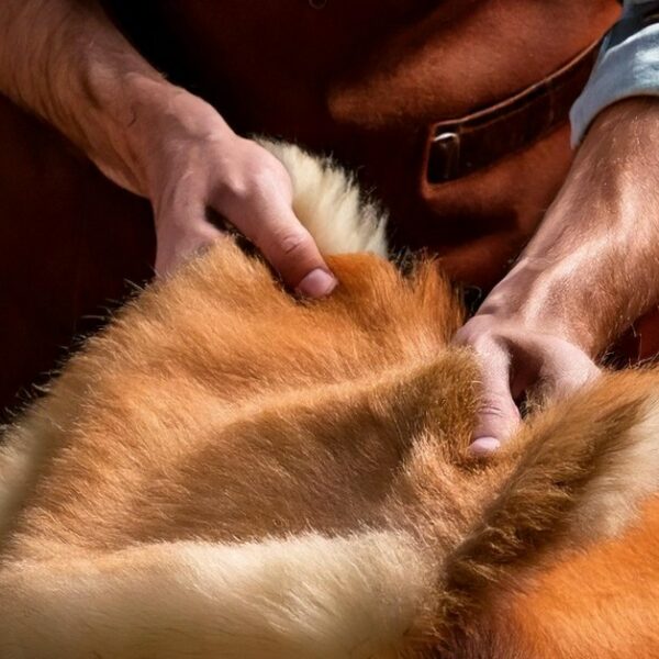 What is Shearling Leather Fabric