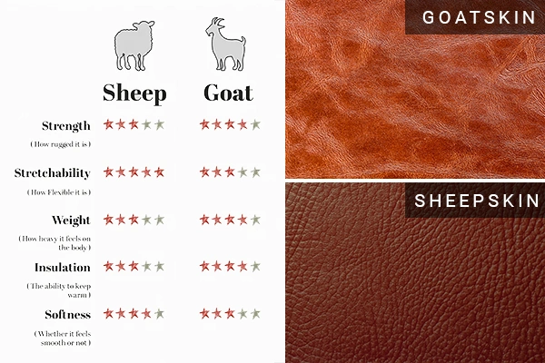 Goatskin vs. Sheepskin