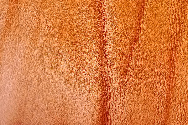 Pigmented Leather